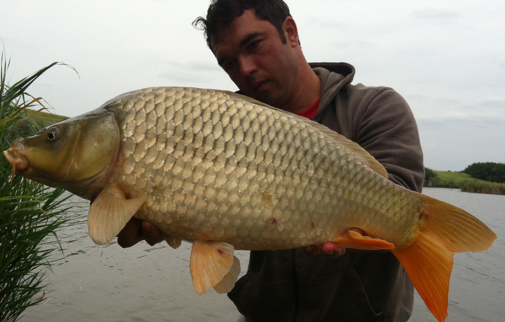 Magura 9 16 - 17 aug. - 6.JPG